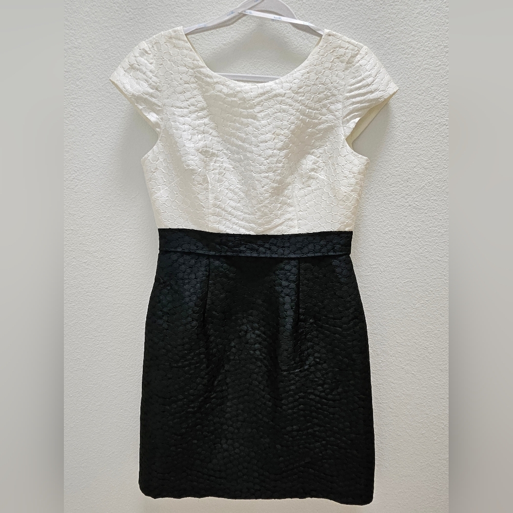 Ivy + Blu Black and white sheath dress